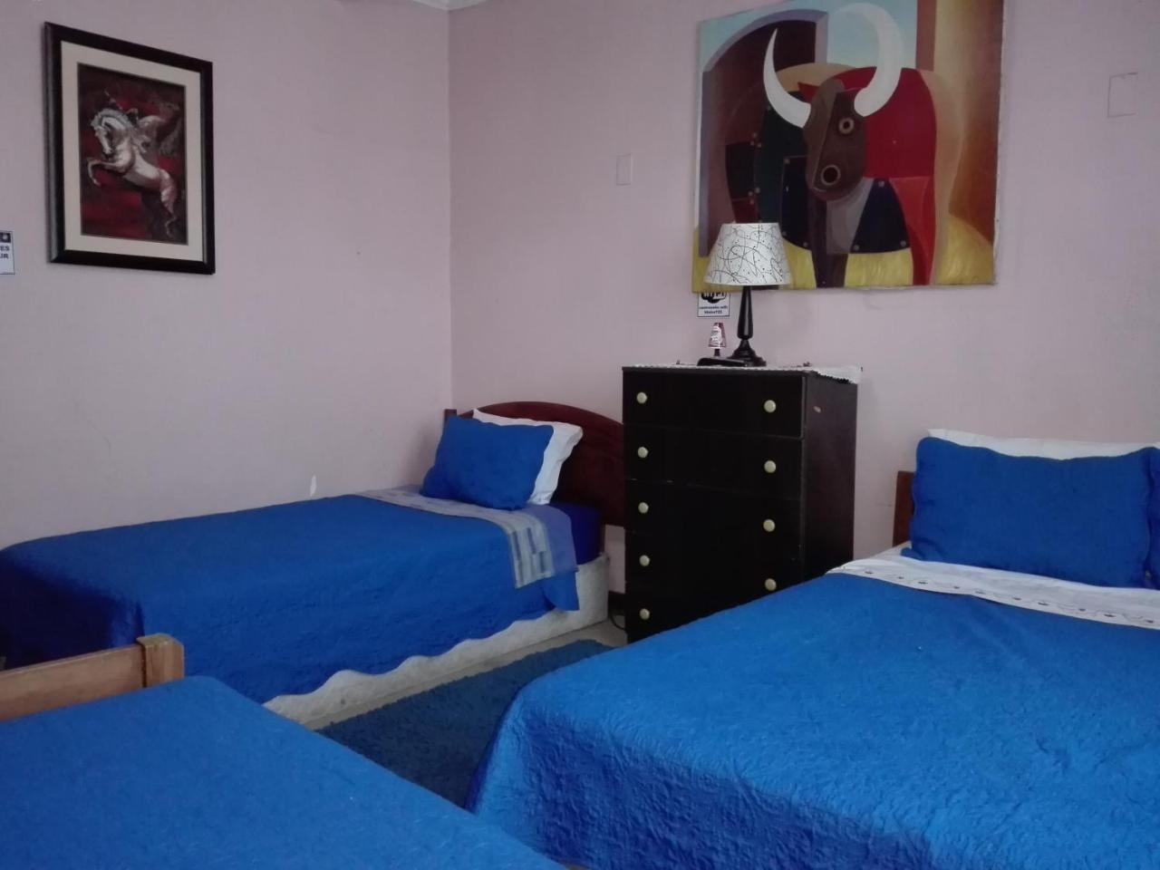 Hotel De Talca Талька Экстерьер фото